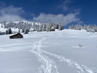 Alpstein dağlarının yamaçlarında ve İsviçre Alpleri 'nin taze dağlık kar örtüsünde, Nesslau - Obertoggenburg, İsviçre (Schweiz)