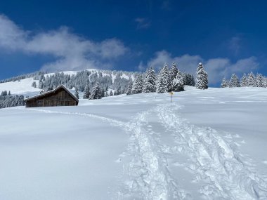 Alpstein dağlarının yamaçlarında ve İsviçre Alpleri 'nin taze dağlık kar örtüsünde, Nesslau - Obertoggenburg, İsviçre (Schweiz)