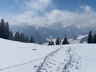 Alpstein dağlarının yamaçlarında ve İsviçre Alpleri 'nin taze dağlık kar örtüsünde, Nesslau - Obertoggenburg, İsviçre (Schweiz)