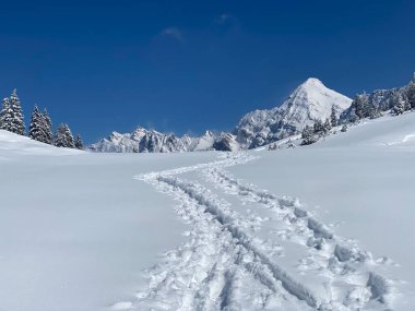 Alpstein dağlarının yamaçlarında ve İsviçre Alpleri 'nin taze dağlık kar örtüsünde, Nesslau - Obertoggenburg, İsviçre (Schweiz)