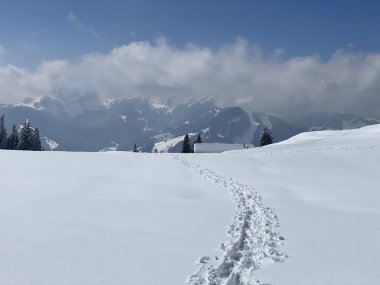 Alpstein dağlarının yamaçlarında ve İsviçre Alpleri 'nin taze dağlık kar örtüsünde, Nesslau - Obertoggenburg, İsviçre (Schweiz)