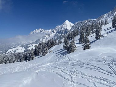 Alpstein dağlarının yamaçlarında ve İsviçre Alpleri 'nin taze dağlık kar örtüsünde, Nesslau - Obertoggenburg, İsviçre (Schweiz)