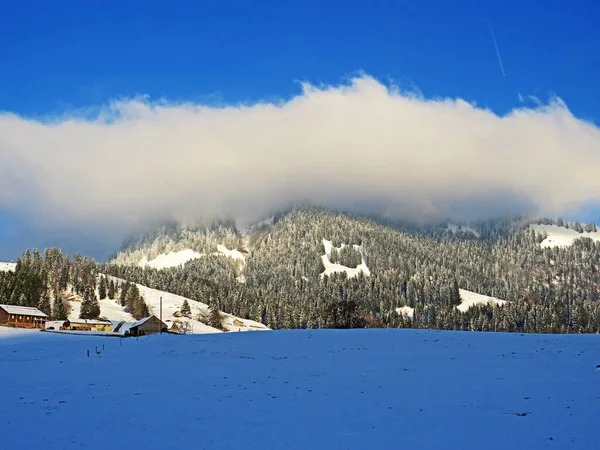 位于瑞士圣加仑州内斯劳的阿尔普斯坦山脉和奥伯托根堡地区的宜人的冬季气候和白雪峰Stockberg 1781米 上的低云 — 图库照片