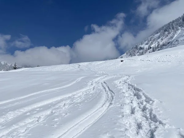 Alpstein dağlarının yamaçlarında ve İsviçre Alpleri 'nin taze dağlık kar örtüsünde, Nesslau - Obertoggenburg, İsviçre (Schweiz)