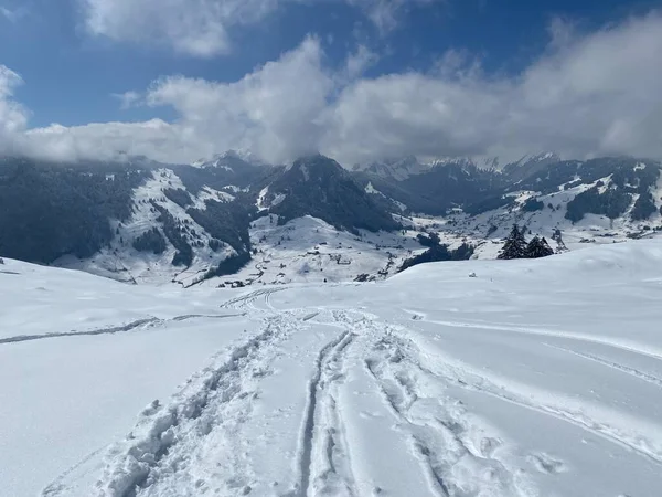 Alpstein dağlarının yamaçlarında ve İsviçre Alpleri 'nin taze dağlık kar örtüsünde, Nesslau - Obertoggenburg, İsviçre (Schweiz)