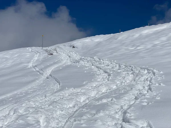 놀라운 슈타인 산맥의 경사지 그리고 스위스 알프스산맥의 지대의 눈덮인 스위스네 — 스톡 사진