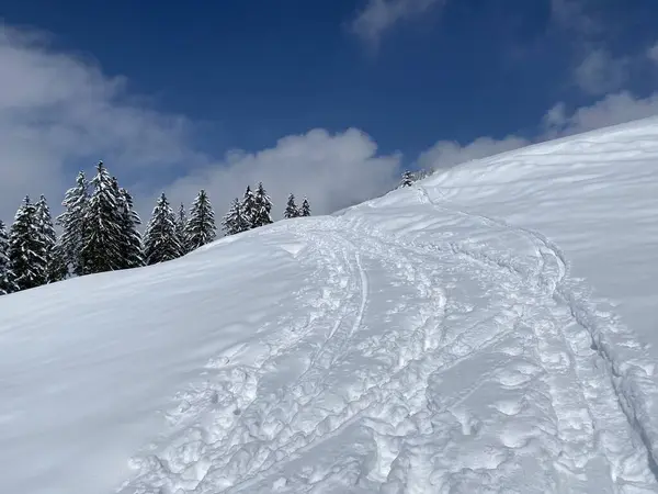 Wonderful Winter Hiking Trails Traces Slopes Alpstein Mountain Range Fresh — Stock Photo, Image