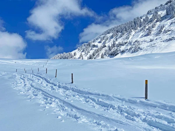 Prachtige Winterwandelwegen Sporen Hellingen Van Alpstein Bergketen Frisse Alpiene Sneeuwbedekking — Stockfoto
