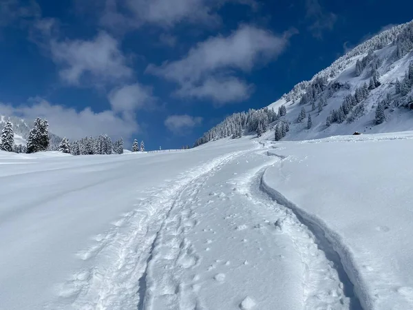 Maravillosas Rutas Senderismo Invierno Rastros Las Laderas Cordillera Alpstein Cubierta —  Fotos de Stock