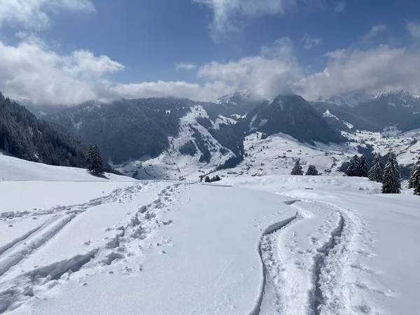 Alpstein dağlarının yamaçlarında ve İsviçre Alpleri 'nin taze dağlık kar örtüsünde, Nesslau - Obertoggenburg, İsviçre (Schweiz)