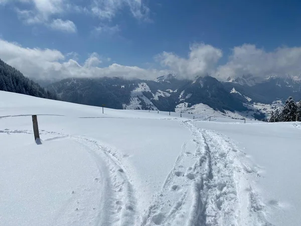 Wonderful Winter Hiking Trails Traces Slopes Alpstein Mountain Range Fresh — стоковое фото
