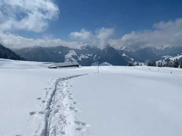 Чудесні Зимові Походи Сліди Схилах Альпштейнського Гірського Хребта Свіжому Гірському — стокове фото