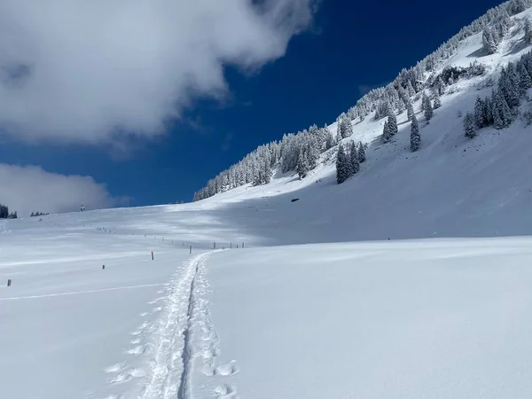Maravillosas Rutas Senderismo Invierno Rastros Las Laderas Cordillera Alpstein Cubierta — Foto de Stock