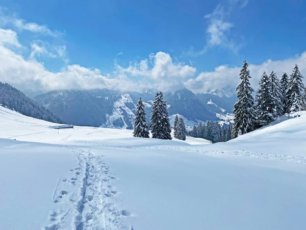 Nádherná Zimní Turistické Stezky Stopy Svazích Pohoří Alpstein Čerstvém Vysokohorském — Stock fotografie