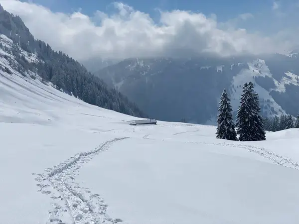 Wonderful Winter Hiking Trails Traces Slopes Alpstein Mountain Range Fresh — стоковое фото