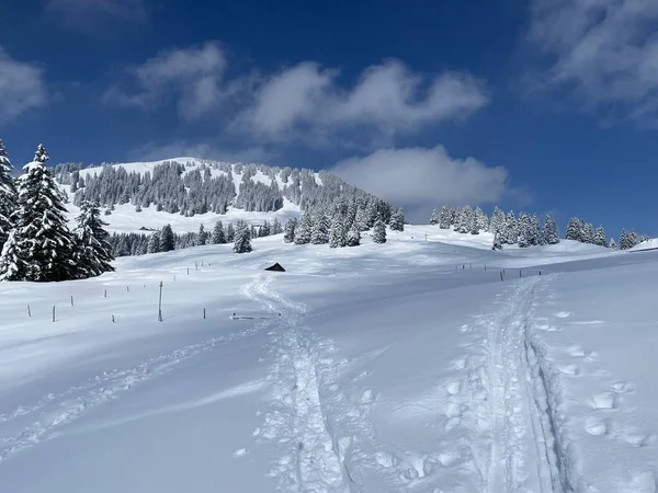 素晴らしい冬のハイキングコースとアルプシュタイン山脈の斜面やスイスアルプス ネスラウの新鮮な高山雪のカバーでの痕跡 Obertoggenburg Switzerland スイス — ストック写真