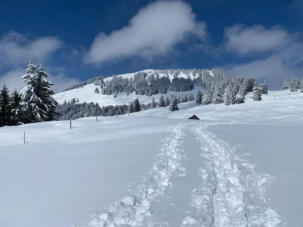 Maravillosas Rutas Senderismo Invierno Rastros Las Laderas Cordillera Alpstein Cubierta —  Fotos de Stock