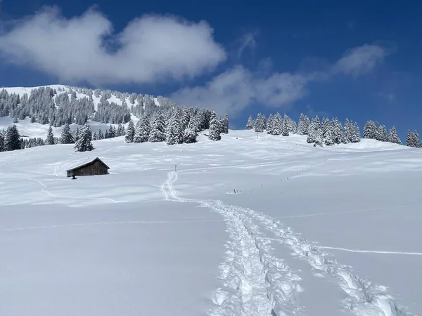 Splendidi Sentieri Escursionistici Invernali Tracce Sulle Pendici Della Catena Montuosa — Foto Stock