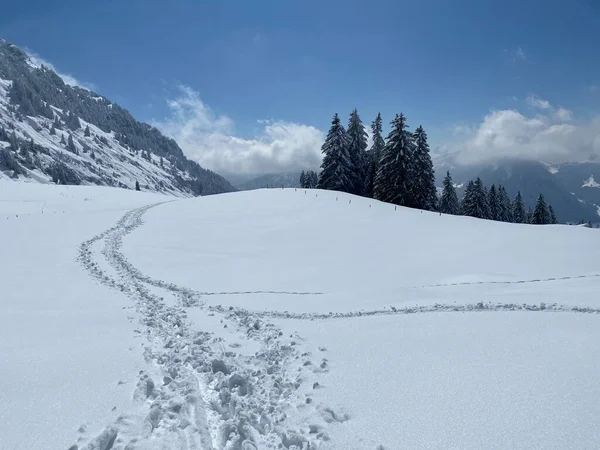 Wonderful Winter Hiking Trails Traces Slopes Alpstein Mountain Range Fresh —  Fotos de Stock