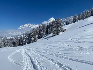 Alpstein dağlarının yamaçlarında ve İsviçre Alpleri 'nin taze dağlık kar örtüsünde, Nesslau - Obertoggenburg, İsviçre (Schweiz)