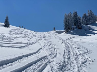Alpstein dağlarının yamaçlarında ve İsviçre Alpleri 'nin taze dağlık kar örtüsünde, Nesslau - Obertoggenburg, İsviçre (Schweiz)