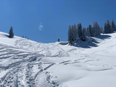 Alpstein dağlarının yamaçlarında ve İsviçre Alpleri 'nin taze dağlık kar örtüsünde, Nesslau - Obertoggenburg, İsviçre (Schweiz)