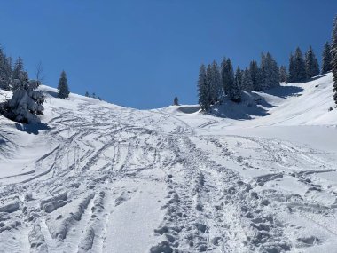 Alpstein dağlarının yamaçlarında ve İsviçre Alpleri 'nin taze dağlık kar örtüsünde, Nesslau - Obertoggenburg, İsviçre (Schweiz)