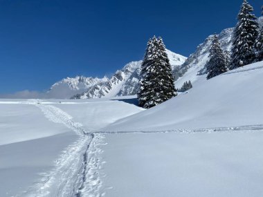 Alpstein dağlarının yamaçlarında ve İsviçre Alpleri 'nin taze dağlık kar örtüsünde, Nesslau - Obertoggenburg, İsviçre (Schweiz)