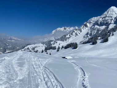 Alpstein dağlarının yamaçlarında ve İsviçre Alpleri 'nin taze dağlık kar örtüsünde, Nesslau - Obertoggenburg, İsviçre (Schweiz)