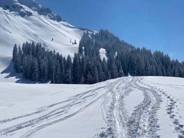 Alpstein dağlarının yamaçlarında ve İsviçre Alpleri 'nin taze dağlık kar örtüsünde, Nesslau - Obertoggenburg, İsviçre (Schweiz)