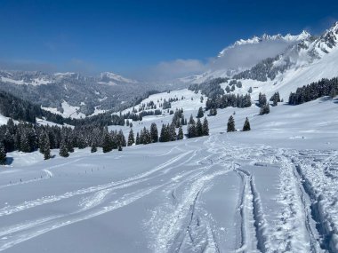 Alpstein dağlarının yamaçlarında ve İsviçre Alpleri 'nin taze dağlık kar örtüsünde, Nesslau - Obertoggenburg, İsviçre (Schweiz)