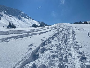 Alpstein dağlarının yamaçlarında ve İsviçre Alpleri 'nin taze dağlık kar örtüsünde, Nesslau - Obertoggenburg, İsviçre (Schweiz)