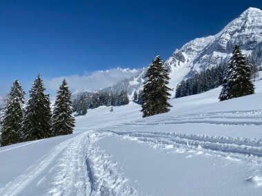 Alpstein dağlarının yamaçlarında ve İsviçre Alpleri 'nin taze dağlık kar örtüsünde, Nesslau - Obertoggenburg, İsviçre (Schweiz)