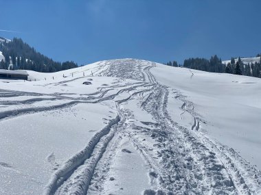 Alpstein dağlarının yamaçlarında ve İsviçre Alpleri 'nin taze dağlık kar örtüsünde, Nesslau - Obertoggenburg, İsviçre (Schweiz)
