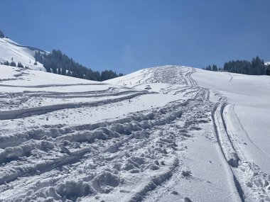 Alpstein dağlarının yamaçlarında ve İsviçre Alpleri 'nin taze dağlık kar örtüsünde, Nesslau - Obertoggenburg, İsviçre (Schweiz)