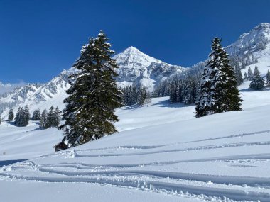 Alpstein dağlarının yamaçlarında ve İsviçre Alpleri 'nin taze dağlık kar örtüsünde, Nesslau - Obertoggenburg, İsviçre (Schweiz)