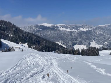 Alpstein dağlarının yamaçlarında ve İsviçre Alpleri 'nin taze dağlık kar örtüsünde, Nesslau - Obertoggenburg, İsviçre (Schweiz)