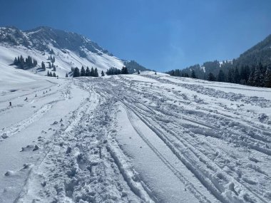 Alpstein dağlarının yamaçlarında ve İsviçre Alpleri 'nin taze dağlık kar örtüsünde, Nesslau - Obertoggenburg, İsviçre (Schweiz)