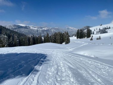 Alpstein dağlarının yamaçlarında ve İsviçre Alpleri 'nin taze dağlık kar örtüsünde, Nesslau - Obertoggenburg, İsviçre (Schweiz)