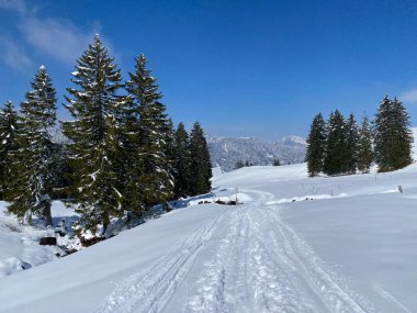 Alpstein dağlarının yamaçlarında ve İsviçre Alpleri 'nin taze dağlık kar örtüsünde, Nesslau - Obertoggenburg, İsviçre (Schweiz)