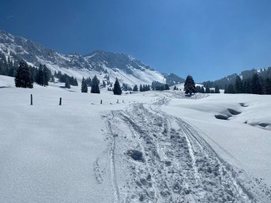 Alpstein dağlarının yamaçlarında ve İsviçre Alpleri 'nin taze dağlık kar örtüsünde, Nesslau - Obertoggenburg, İsviçre (Schweiz)