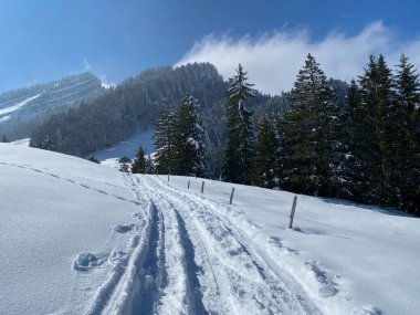 Alpstein dağlarının yamaçlarında ve İsviçre Alpleri 'nin taze dağlık kar örtüsünde, Nesslau - Obertoggenburg, İsviçre (Schweiz)