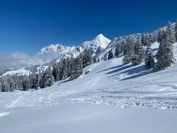 Peri masalı dağ atmosferi Alpstein dağ sırasının zirveleri ve Appenzell masif, Nesslau (Obertoggenburg bölgesi) - İsviçre 'nin St. Gallen Kantonu (Schweiz)