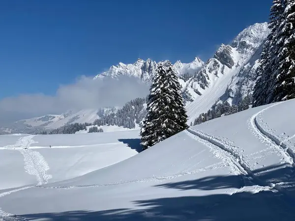 Сказочная Альпийская Зимняя Атмосфера Вершинах Горного Хребта Альпштайн Массиве Аппенцелль — стоковое фото