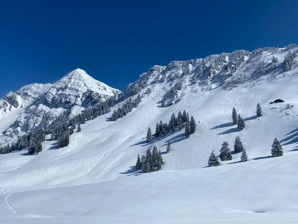 Fairytale Alpine Winter Atmosphere Peaks Alpstein Mountain Range Appenzell Massif — Stock Photo, Image