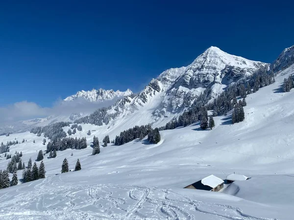 Peri masalı dağ atmosferi Alpstein dağ sırasının zirveleri ve Appenzell masif, Nesslau (Obertoggenburg bölgesi) - İsviçre 'nin St. Gallen Kantonu (Schweiz)