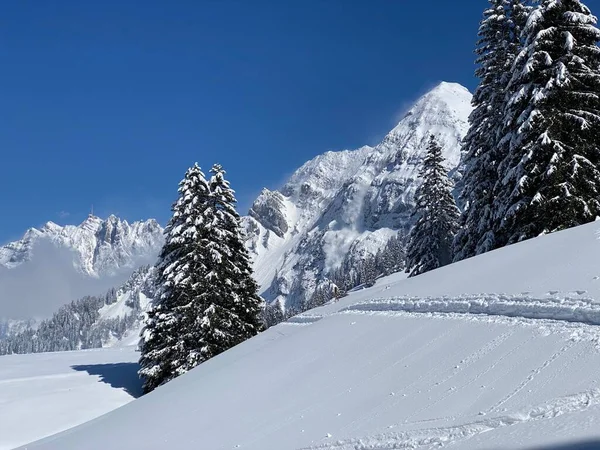 Peri masalı dağ atmosferi Alpstein dağ sırasının zirveleri ve Appenzell masif, Nesslau (Obertoggenburg bölgesi) - İsviçre 'nin St. Gallen Kantonu (Schweiz)