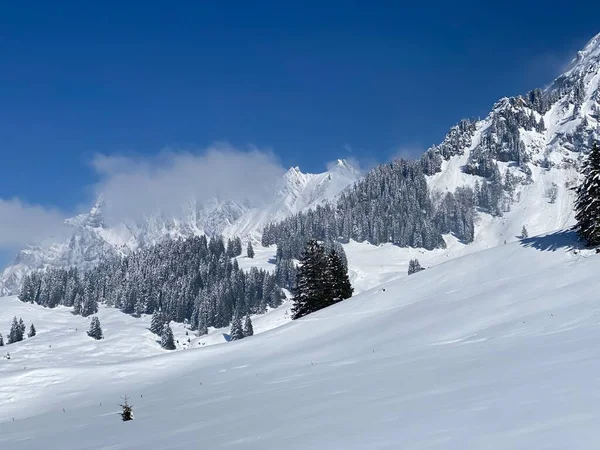メルヘンな高山の冬の雰囲気アルプシュタイン山脈のピークとアッペンツェルの大規模な ネスラウ州 Obertoggenburg カントン セント ガレン スイス スイス — ストック写真