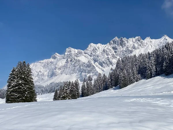 Peri masalı dağ atmosferi Alpstein dağ sırasının zirveleri ve Appenzell masif, Nesslau (Obertoggenburg bölgesi) - İsviçre 'nin St. Gallen Kantonu (Schweiz)