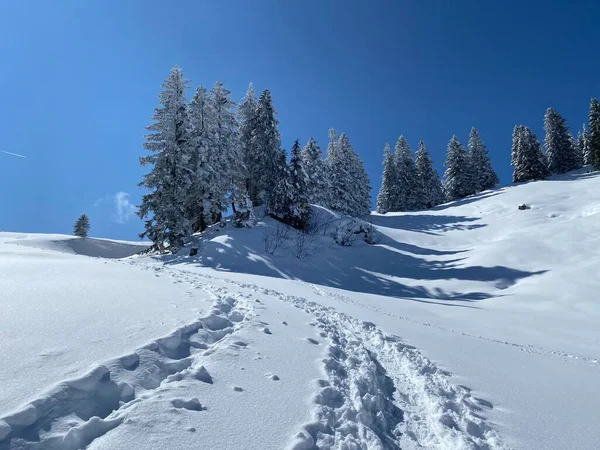Maravillosas Rutas Senderismo Invierno Rastros Las Laderas Cordillera Alpstein Cubierta — Foto de Stock
